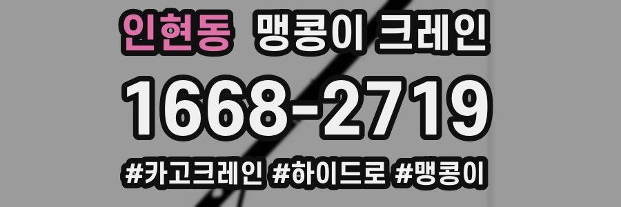 인현동 맹콩이 크레인