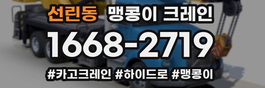 선린동 맹콩이 크레인