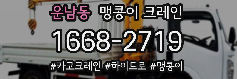 운남동 맹콩이 크레인