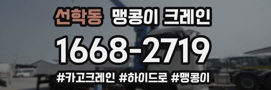 선학동 맹콩이 크레인