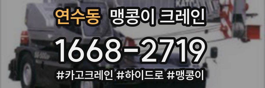 연수동 맹콩이 크레인