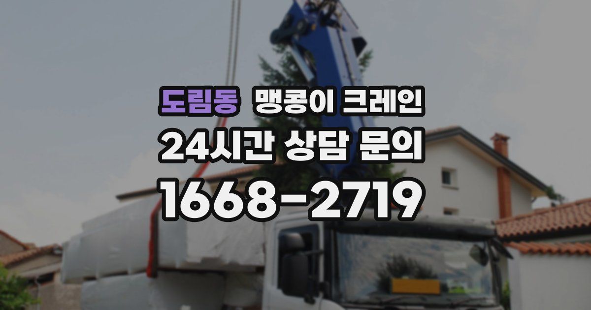 도림동 맹콩이 크레인