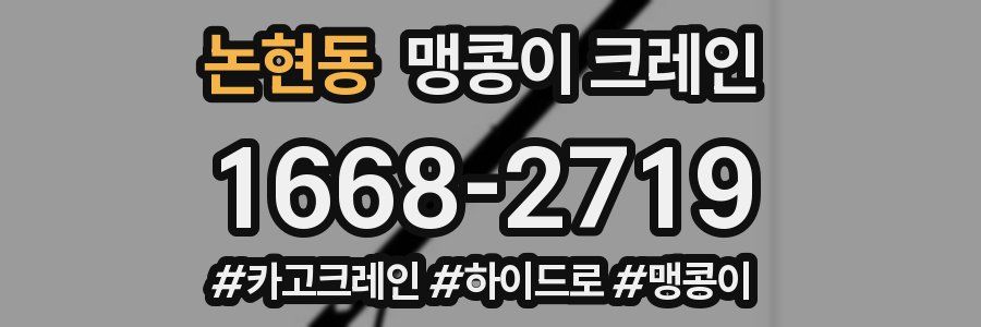 논현동 맹콩이 크레인