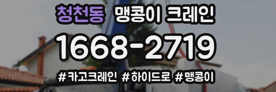 청천동 맹콩이 크레인