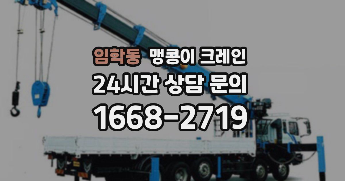 임학동 맹콩이 크레인
