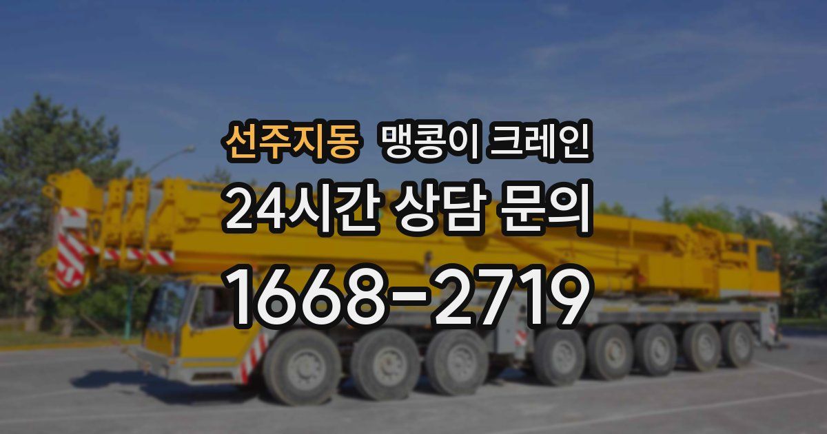 선주지동 맹콩이 크레인