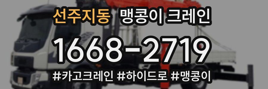 선주지동 맹콩이 크레인