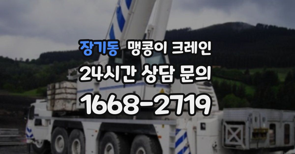 장기동 맹콩이 크레인