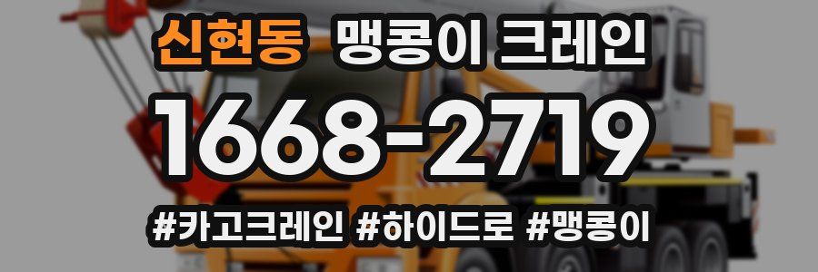 신현동 맹콩이 크레인
