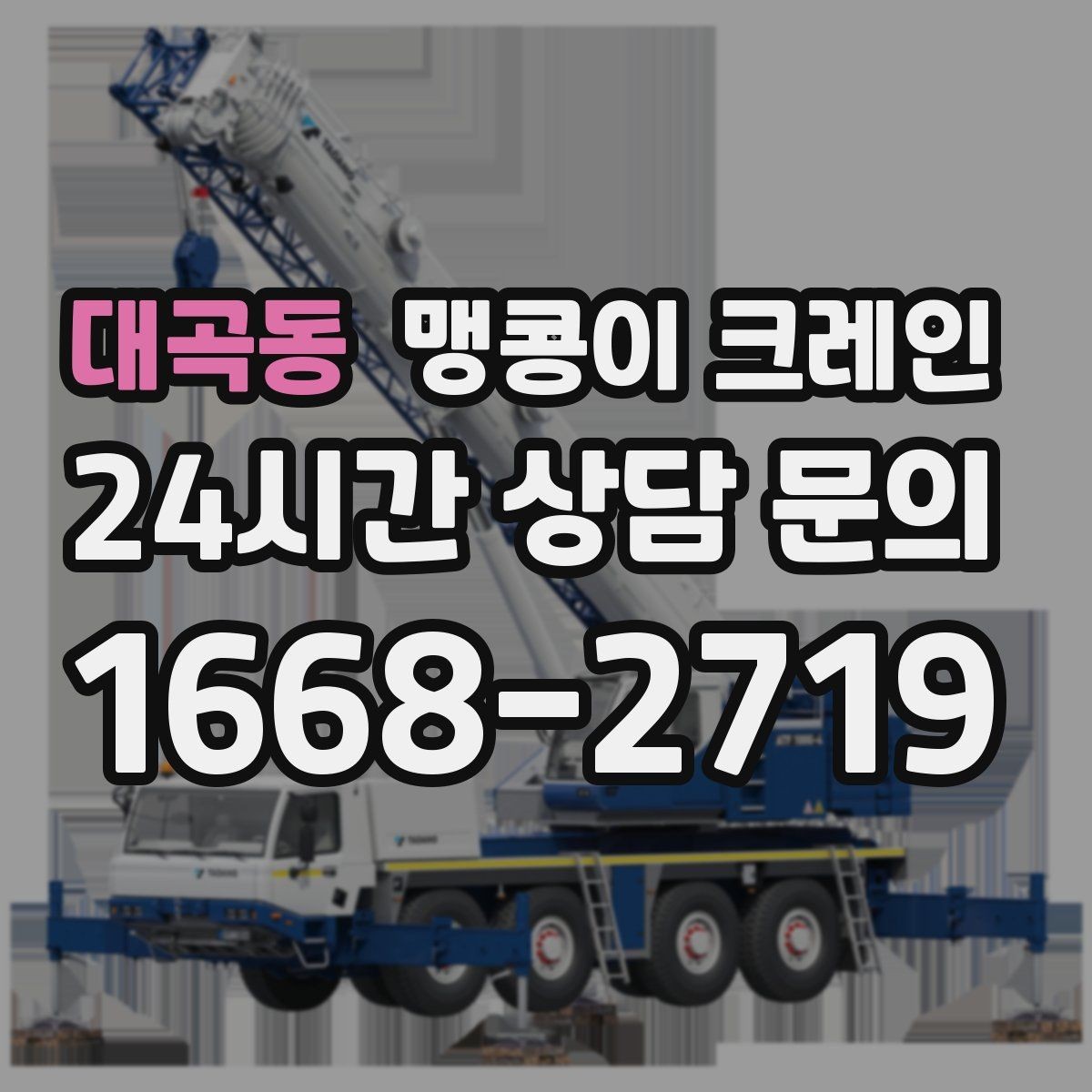 대곡동 맹콩이 크레인 컨테이너 내부 장비 반입에 적합한 이유