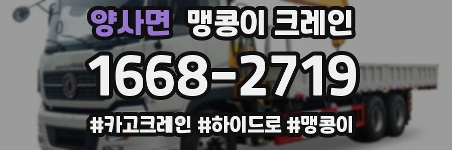 양사면 맹콩이 크레인