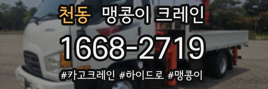 천동 맹콩이 크레인