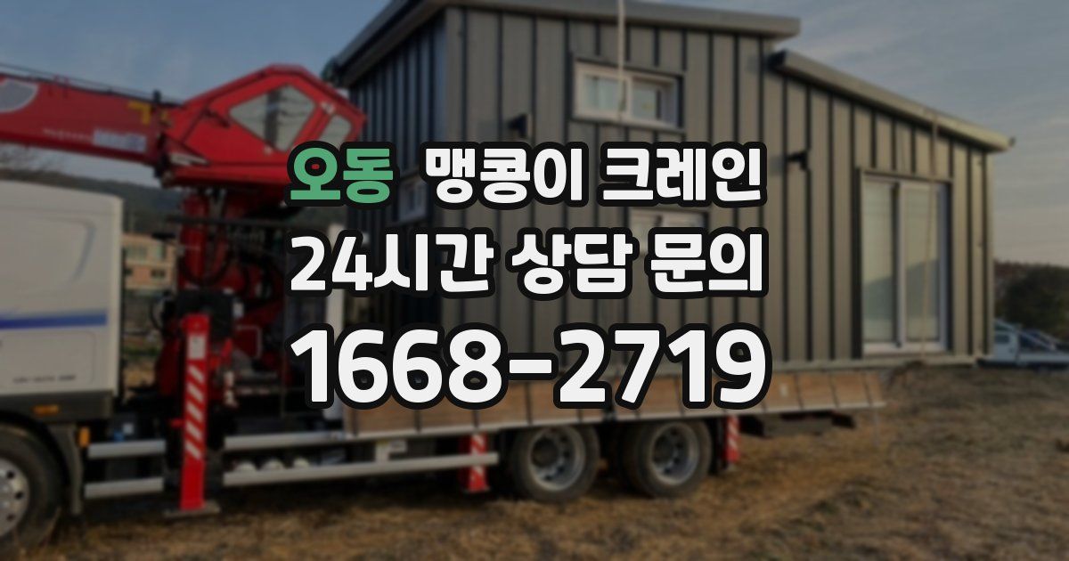 오동 맹콩이 크레인