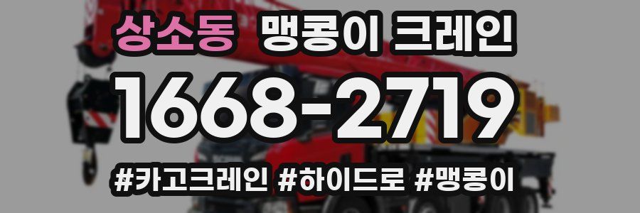 상소동 맹콩이 크레인