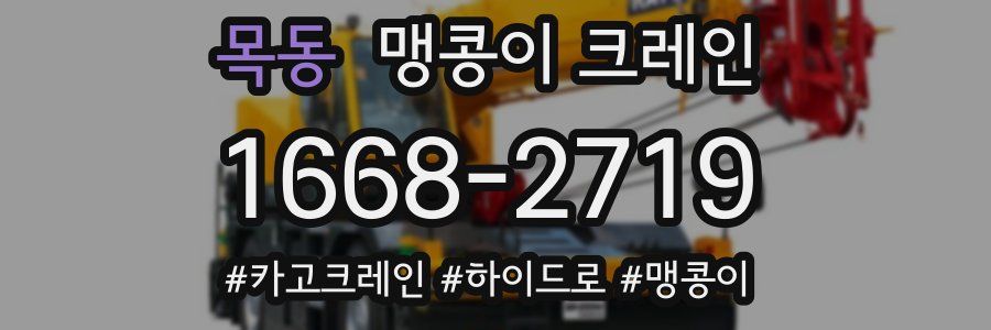목동 맹콩이 크레인
