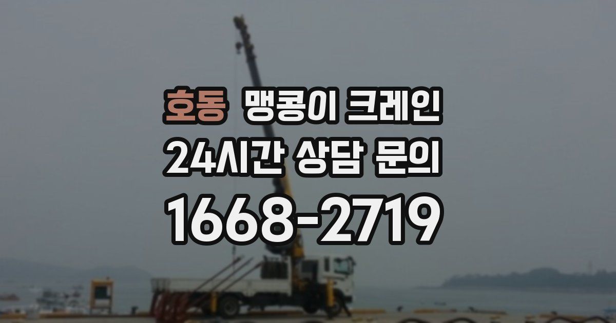 호동 맹콩이 크레인