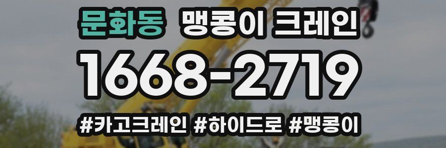 문화동 맹콩이 크레인