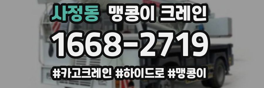 사정동 맹콩이 크레인