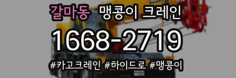 갈마동 맹콩이 크레인