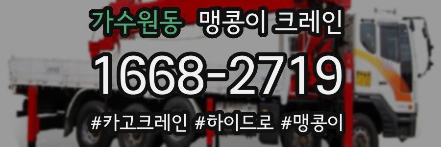 가수원동 맹콩이 크레인