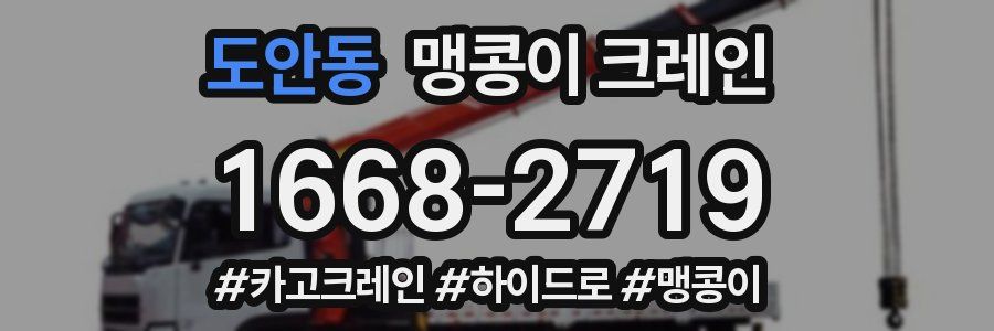 도안동 맹콩이 크레인
