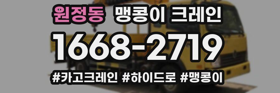 원정동 맹콩이 크레인