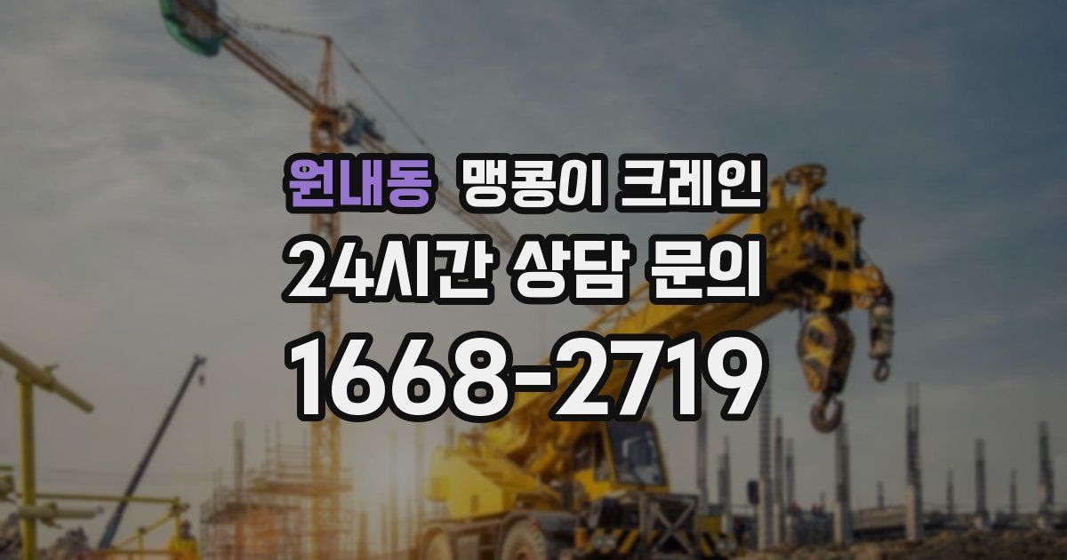 원내동 맹콩이 크레인
