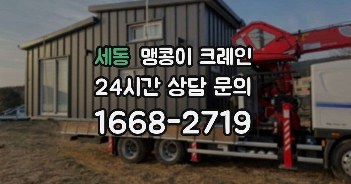 세동 맹콩이 크레인