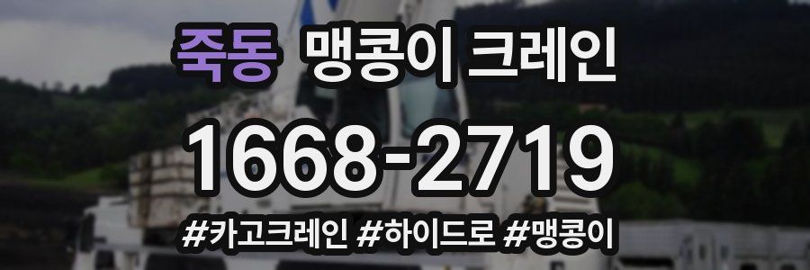 죽동 맹콩이 크레인