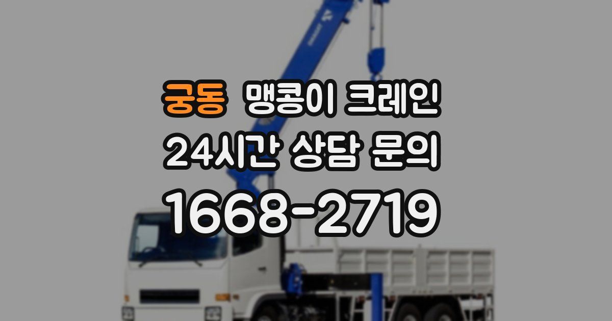 궁동 맹콩이 크레인