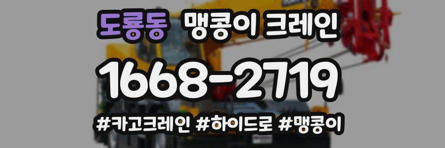도룡동 맹콩이 크레인