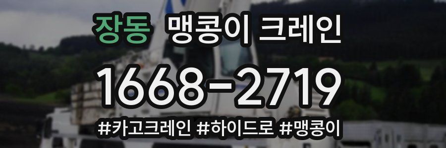 장동 맹콩이 크레인