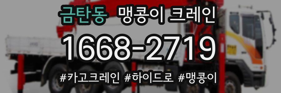 금탄동 맹콩이 크레인