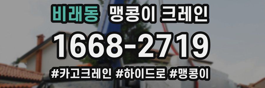 비래동 맹콩이 크레인