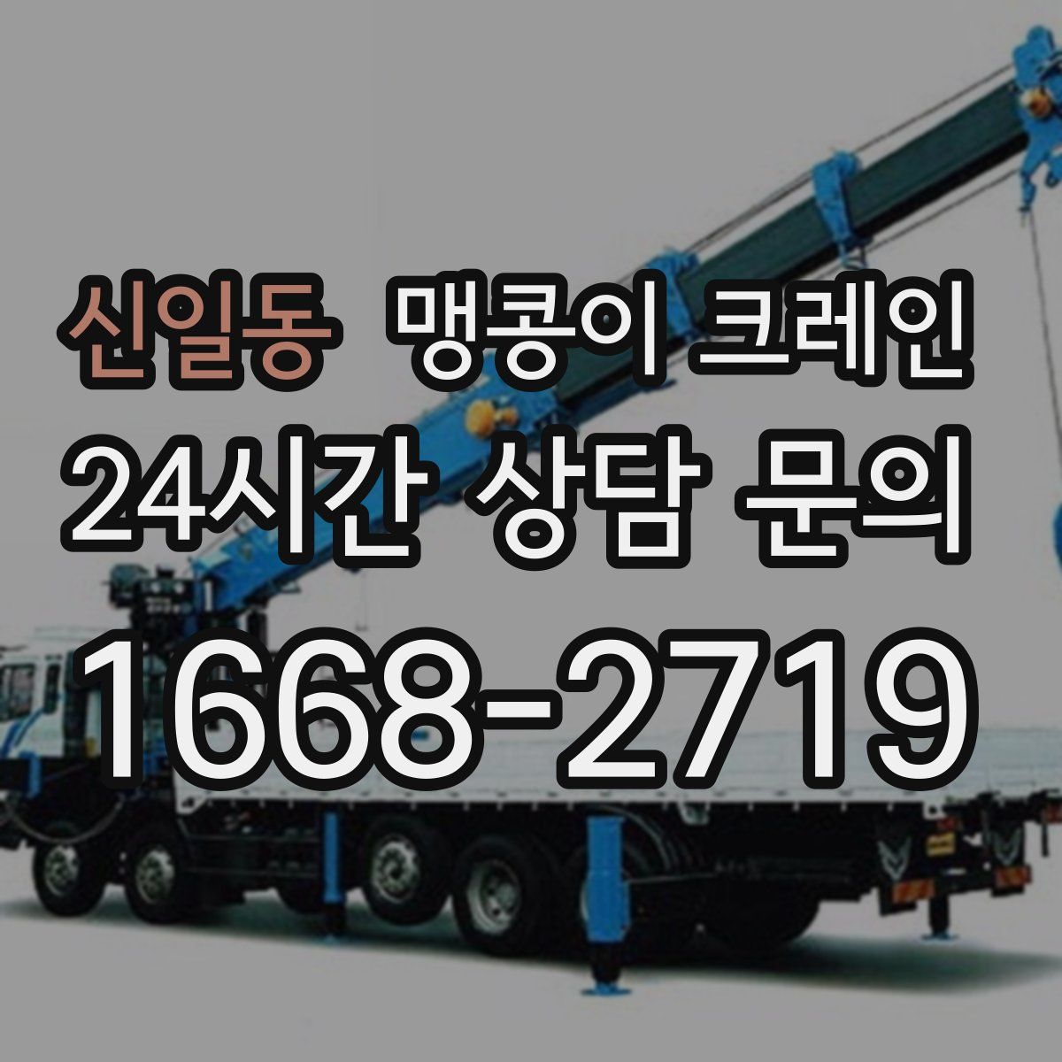 신일동 맹콩이 크레인