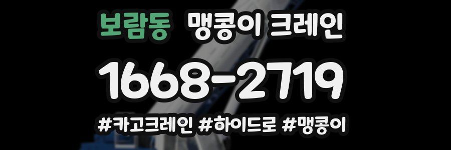 보람동 맹콩이 크레인