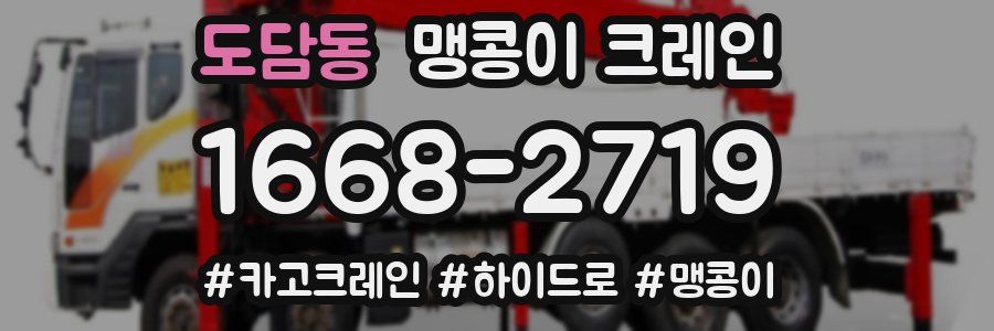 도담동 맹콩이 크레인