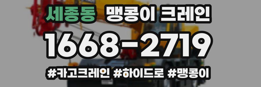 세종동 맹콩이 크레인