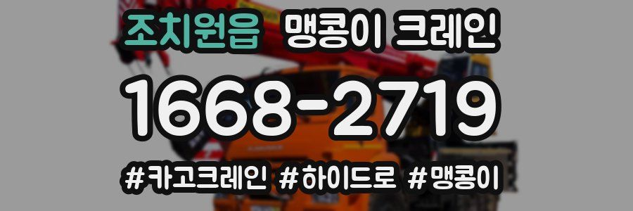 조치원읍 맹콩이 크레인