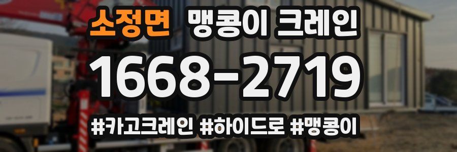 소정면 맹콩이 크레인