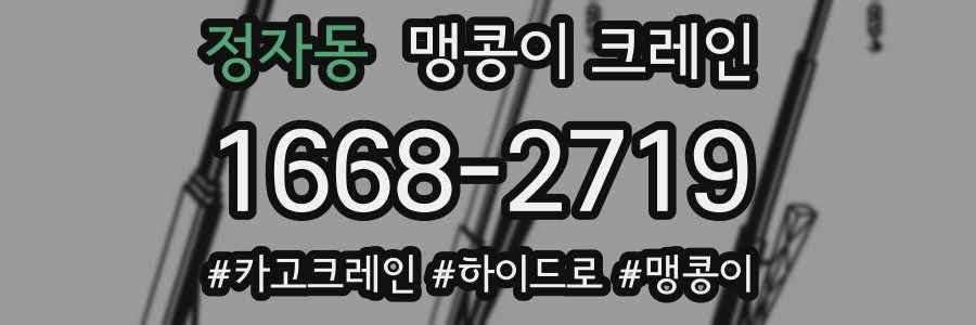 정자동 맹콩이 크레인