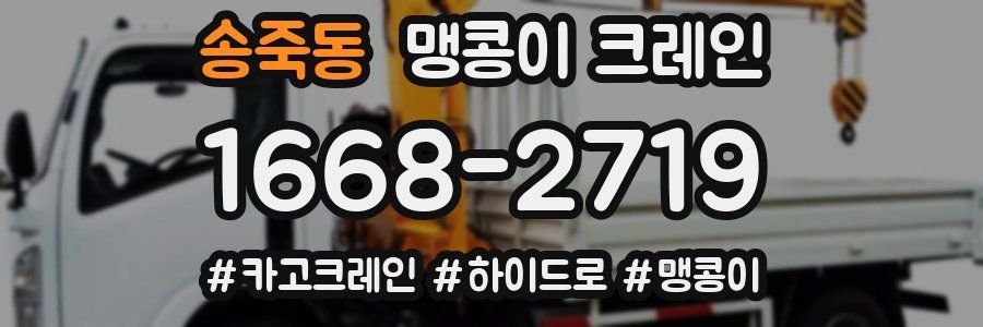 송죽동 맹콩이 크레인