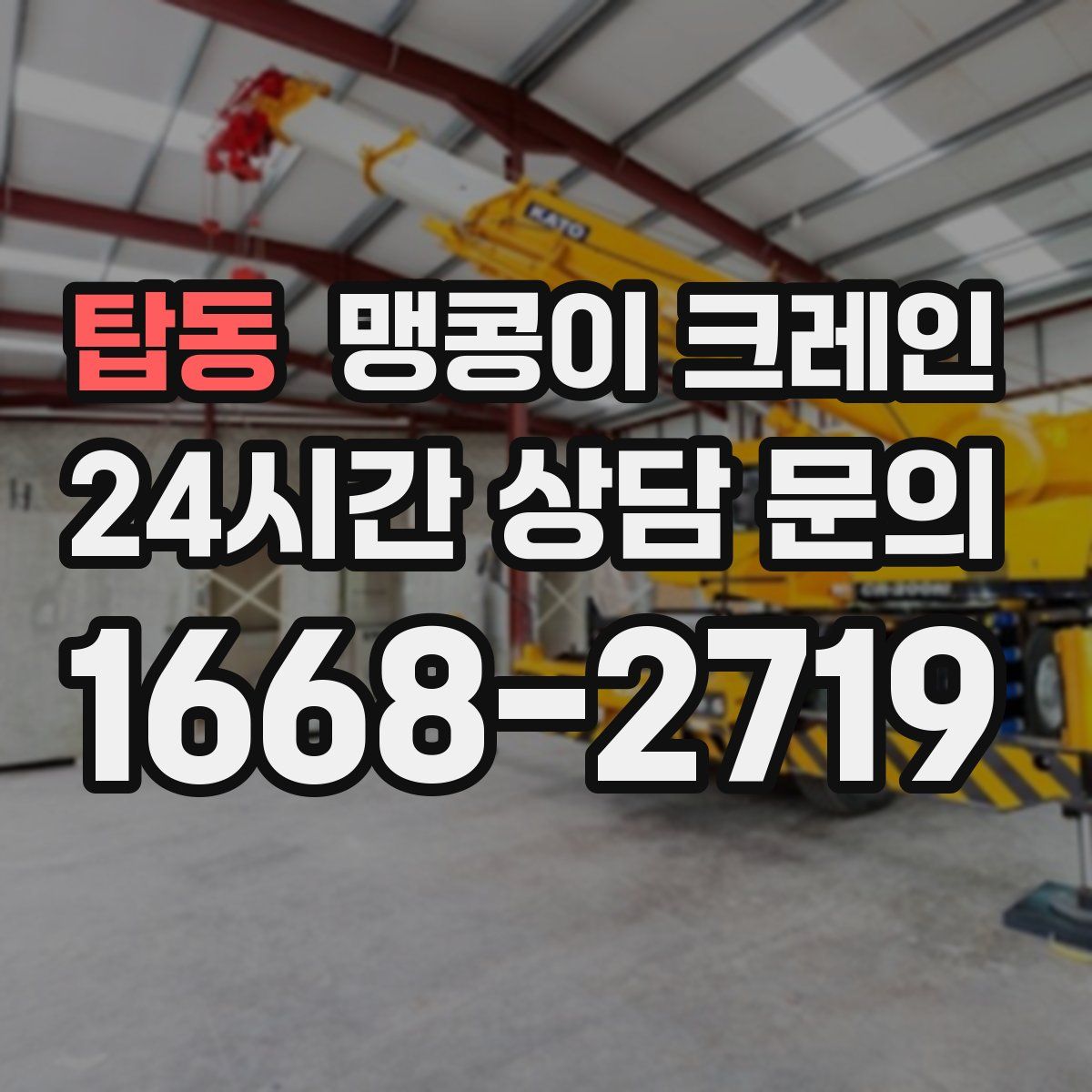 탑동 맹콩이 크레인