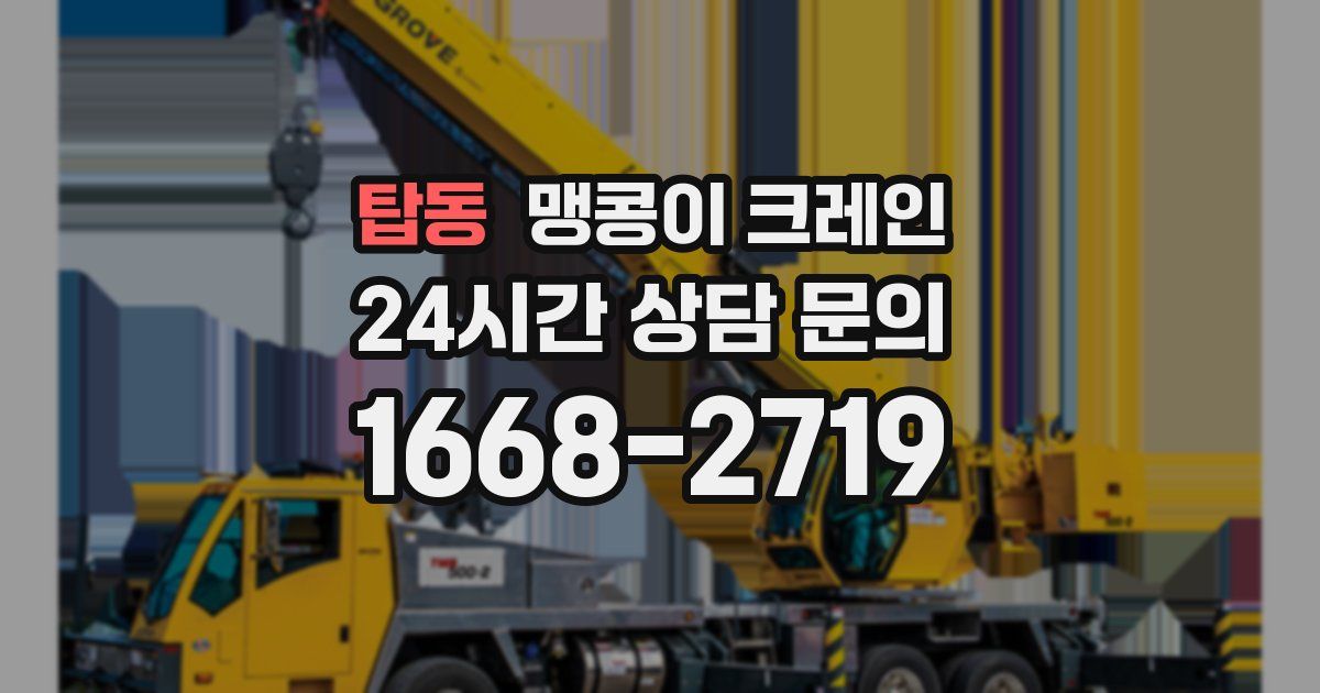 탑동 맹콩이 크레인