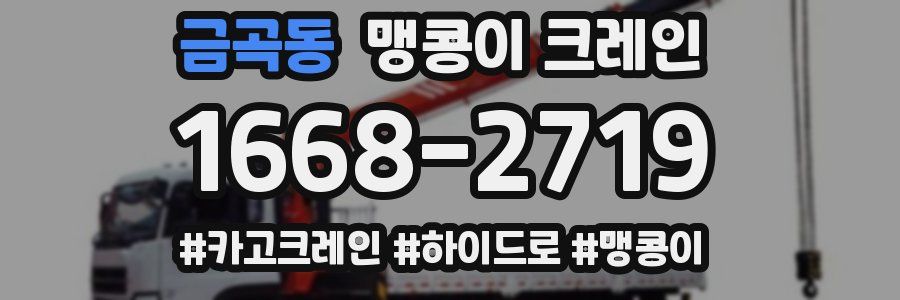 금곡동 맹콩이 크레인