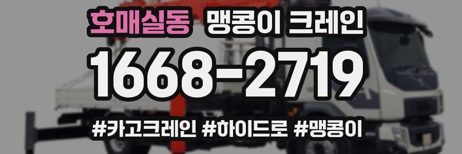 호매실동 맹콩이 크레인