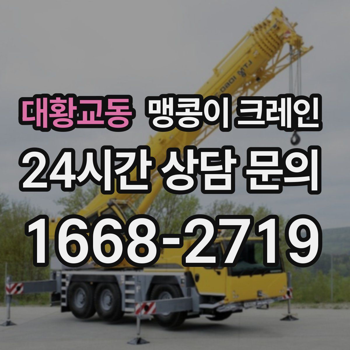 대황교동 맹콩이 크레인