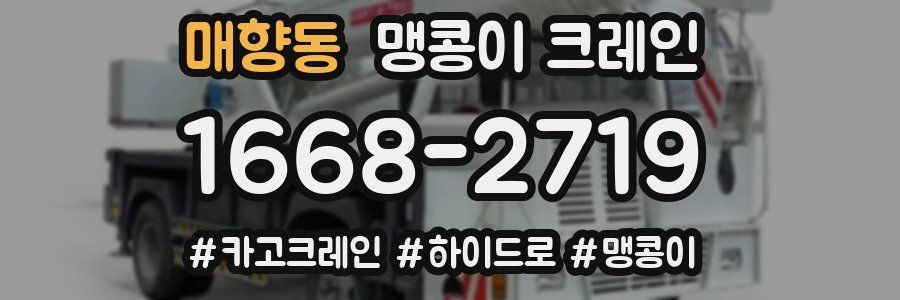 매향동 맹콩이 크레인