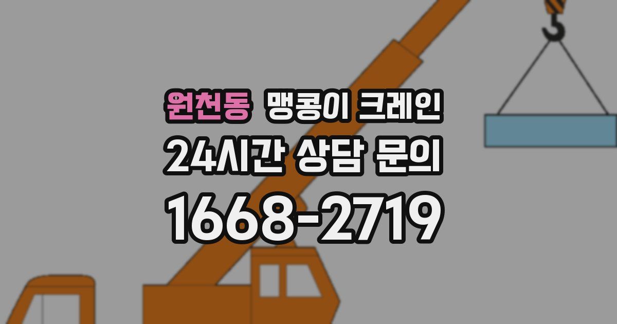 원천동 맹콩이 크레인