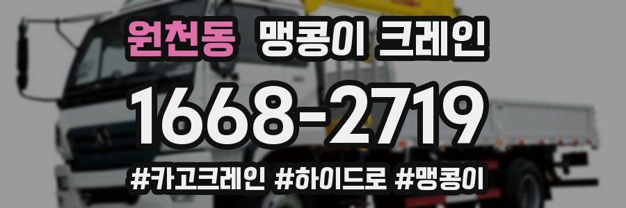 원천동 맹콩이 크레인